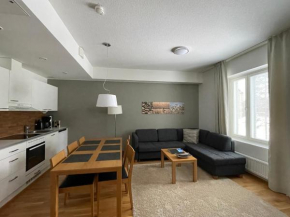Spa Chalet Calluna Imatra